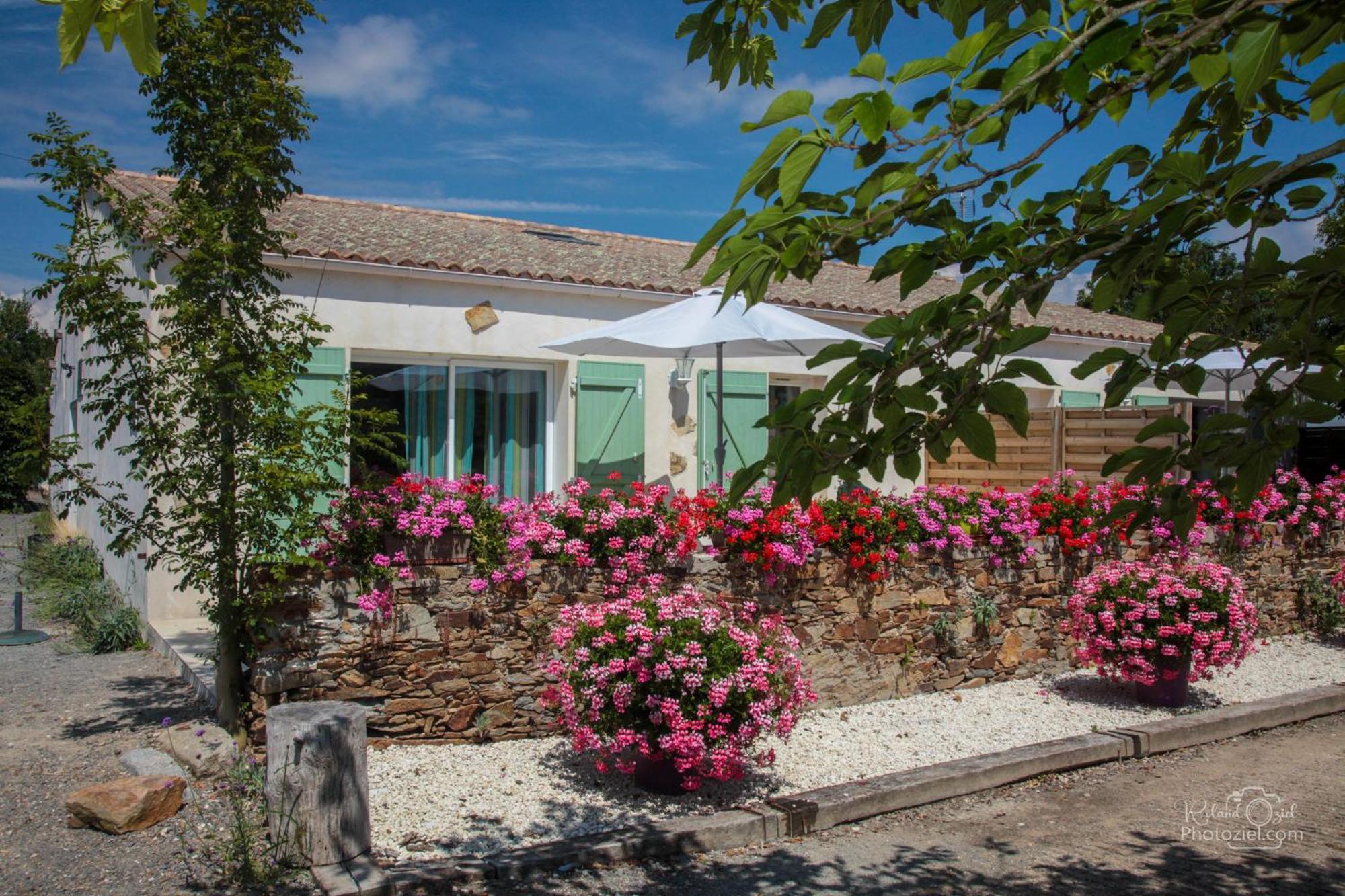 Villa Domaine les Rousselieres à Olonne-sur-Mer Extérieur photo