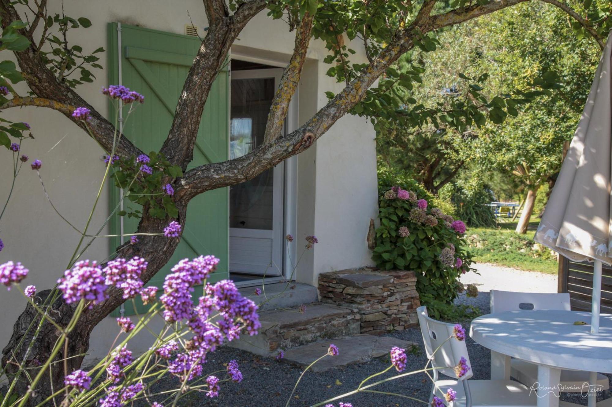 Villa Domaine les Rousselieres à Olonne-sur-Mer Extérieur photo