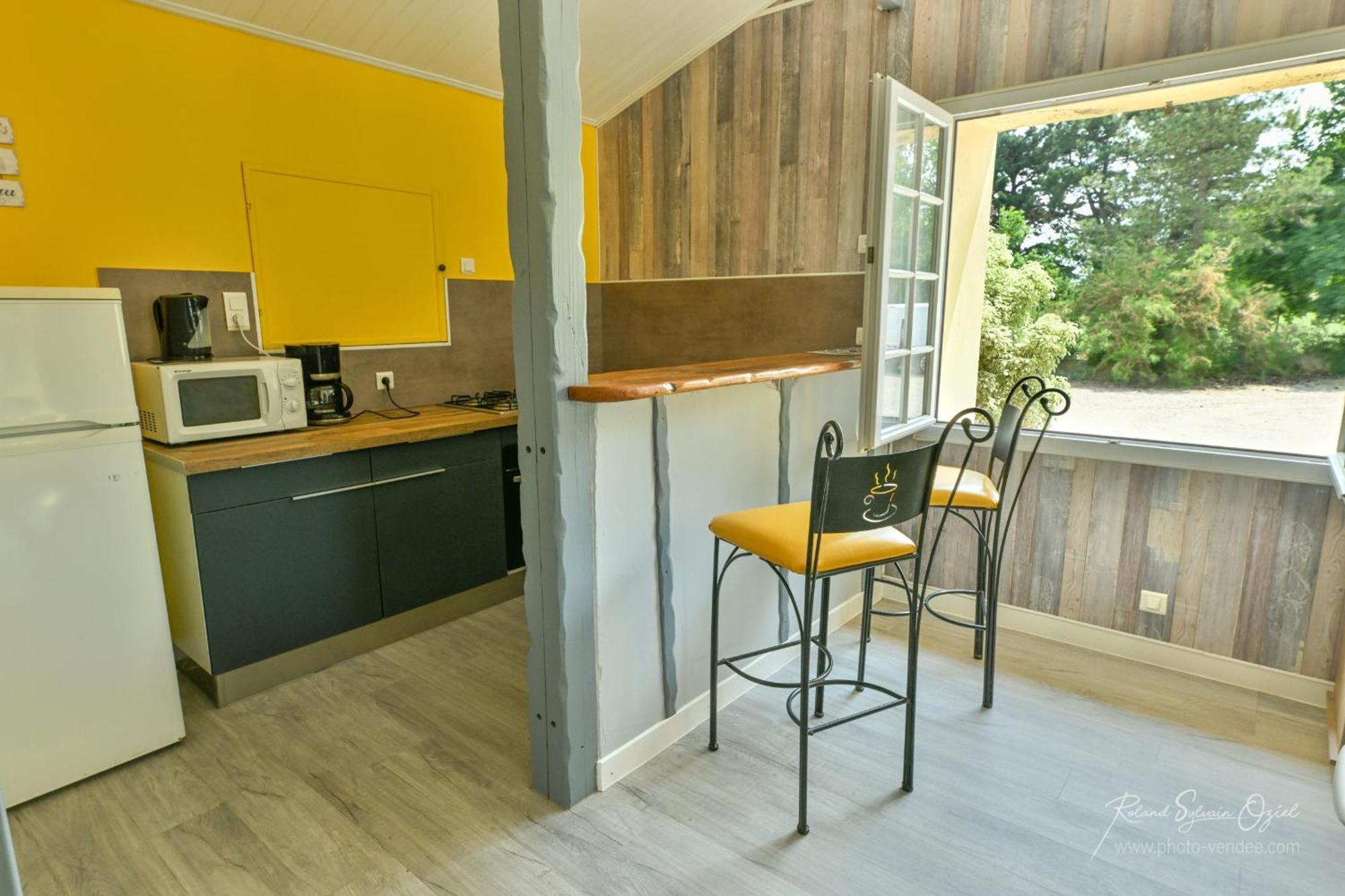 Villa Domaine les Rousselieres à Olonne-sur-Mer Extérieur photo
